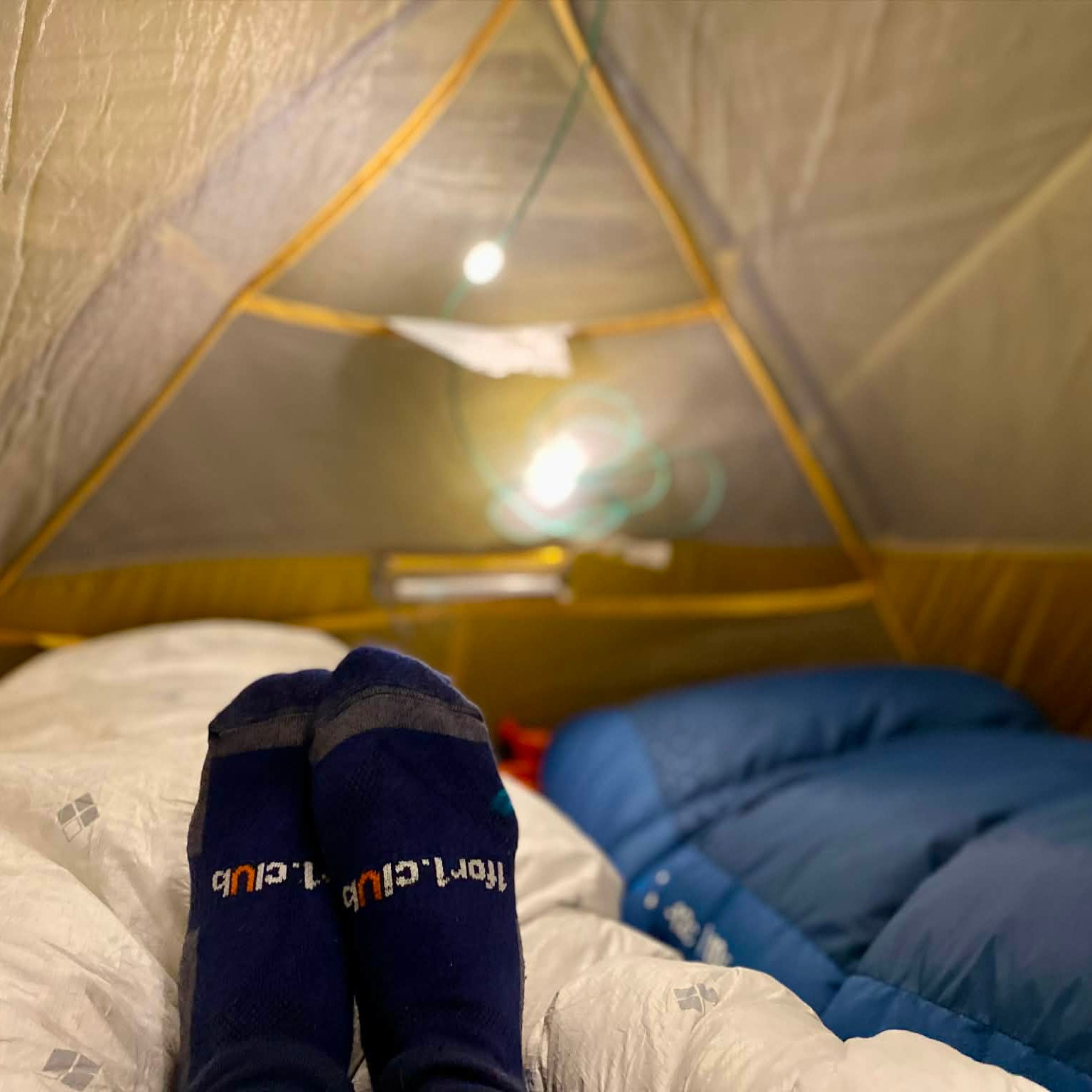 Person wearing socks inside a tent with a blue sleeping bag.